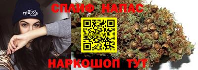 гидропоника Заволжье
